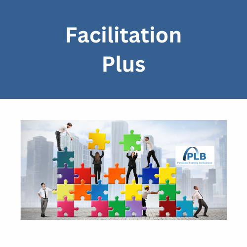 Facilitation Plus More Than Methods and Tools